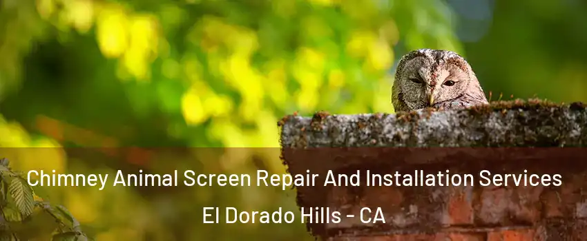  Chimney Animal Screen Repair And Installation Services El Dorado Hills - CA