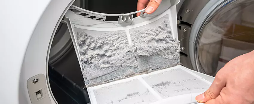 Best Dryer Lint Removal Company in El Dorado Hills, California