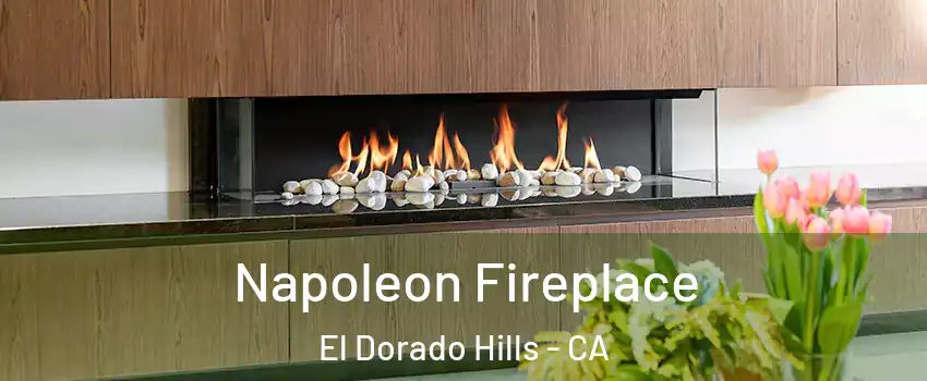  Napoleon Fireplace El Dorado Hills - CA